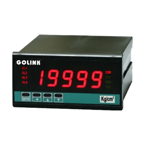 CS2 Process Panel Meter