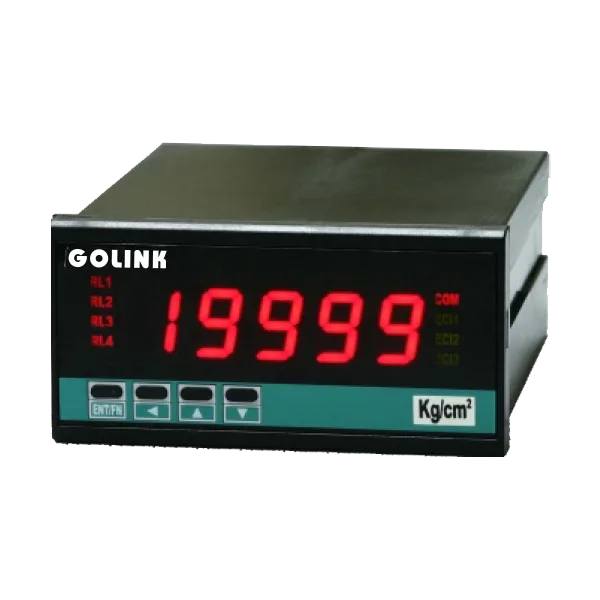 CS2 Process Panel Meter