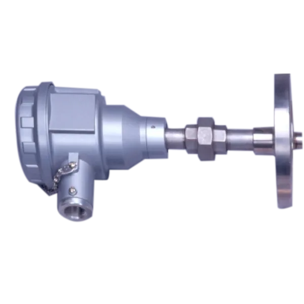 Thermocouple & RTD Probe